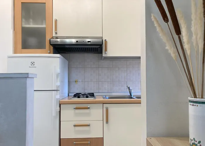 Apartment Flower Blooms *