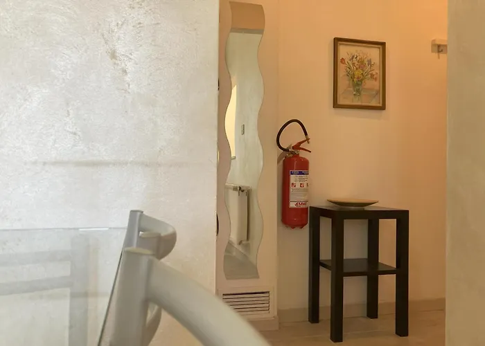 Apartment Flower Blooms Trieste