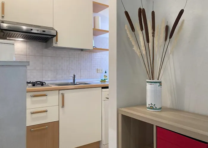 Apartment Flower Blooms