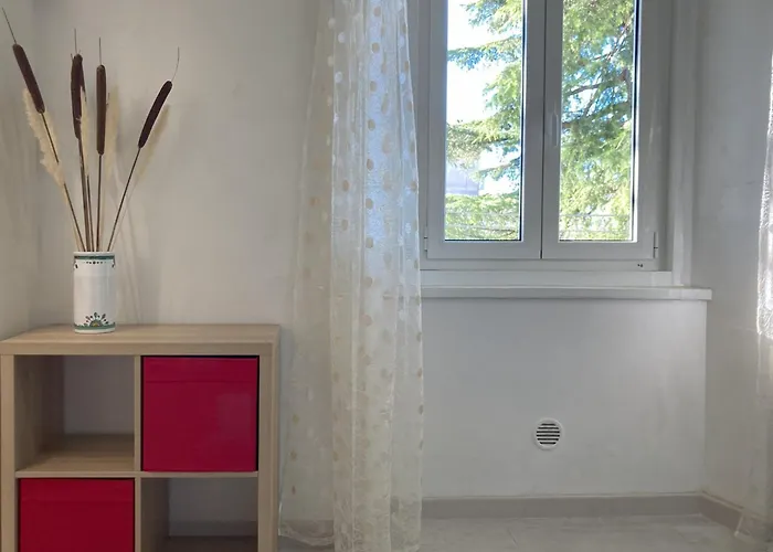 Apartment Flower Blooms Trieste