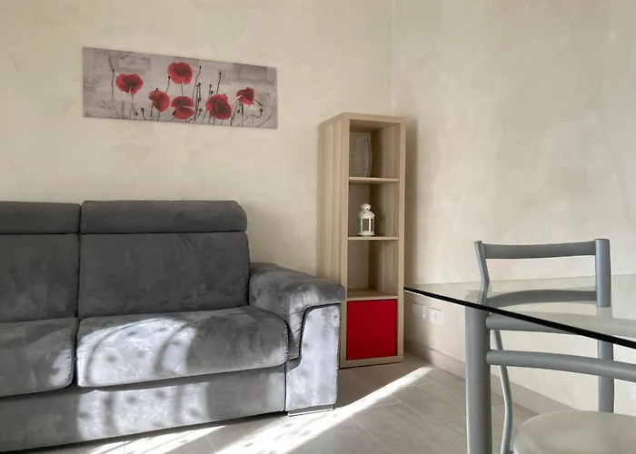 Apartment Flower Blooms Trieste